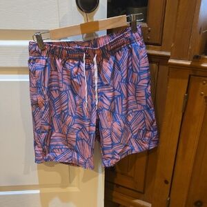 Stylish Blue and Pink Men's Swim Shorts